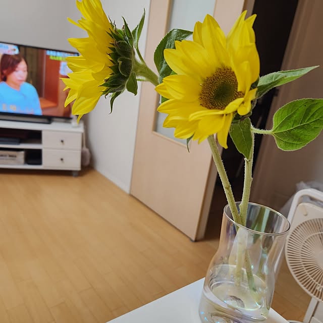 keinyanakoさんの実例写真