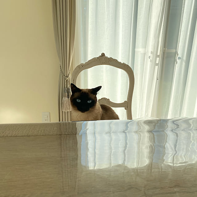 nicoさんの実例写真