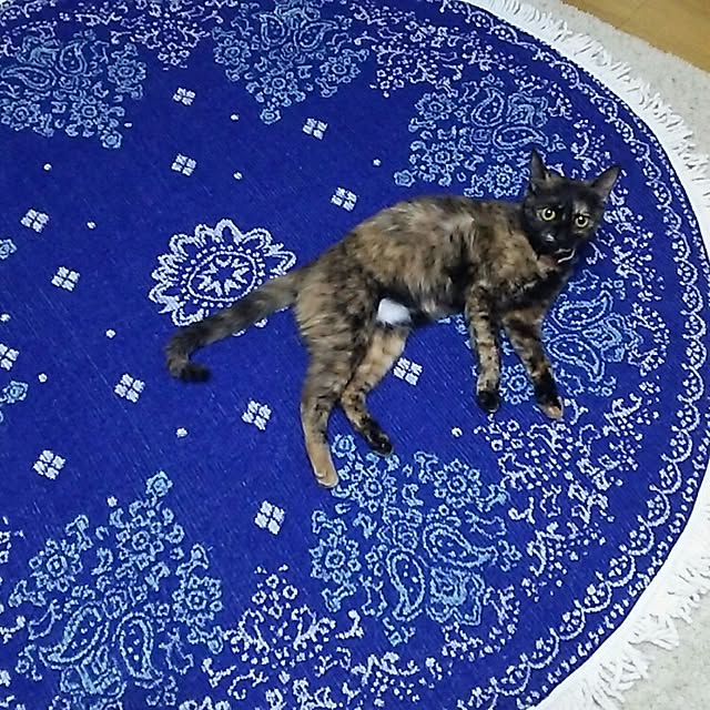 mcomcoさんの実例写真