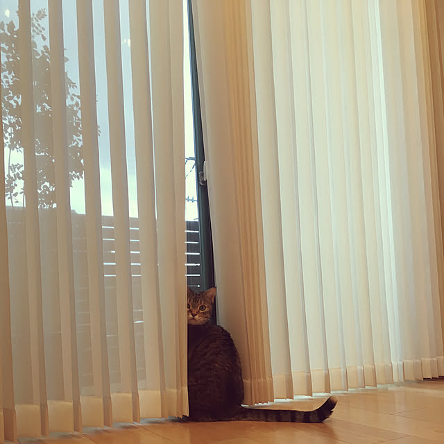 maro.kさんの実例写真