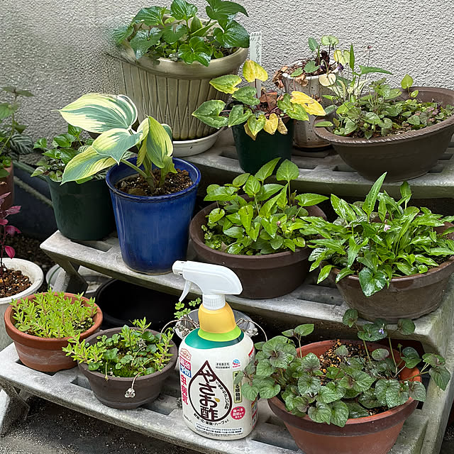 buchiさんの実例写真