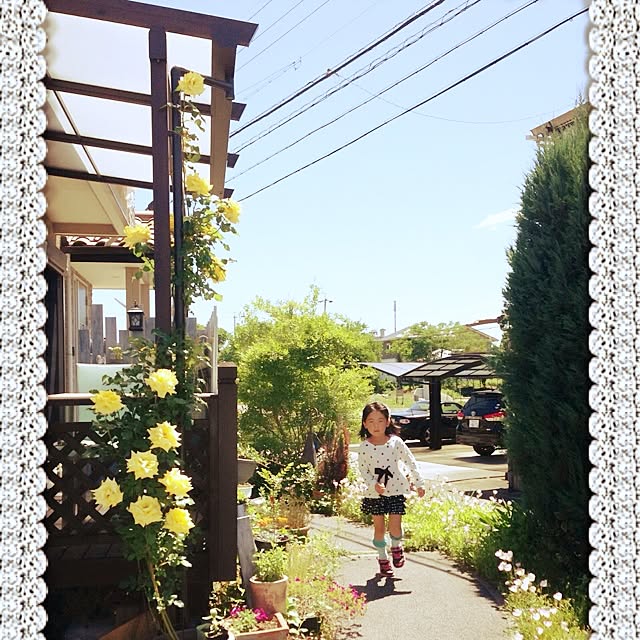 nanaさんの実例写真