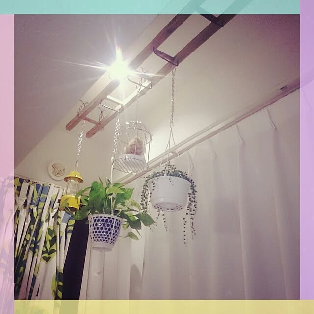 壁/天井/観葉植物/手作りのインテリア実例 - 2014-07-19 22:16:54