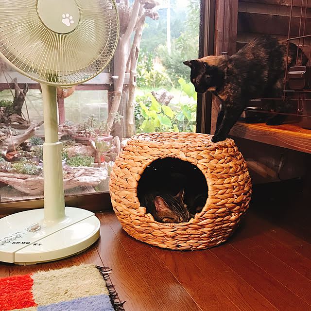 pepeさんの実例写真