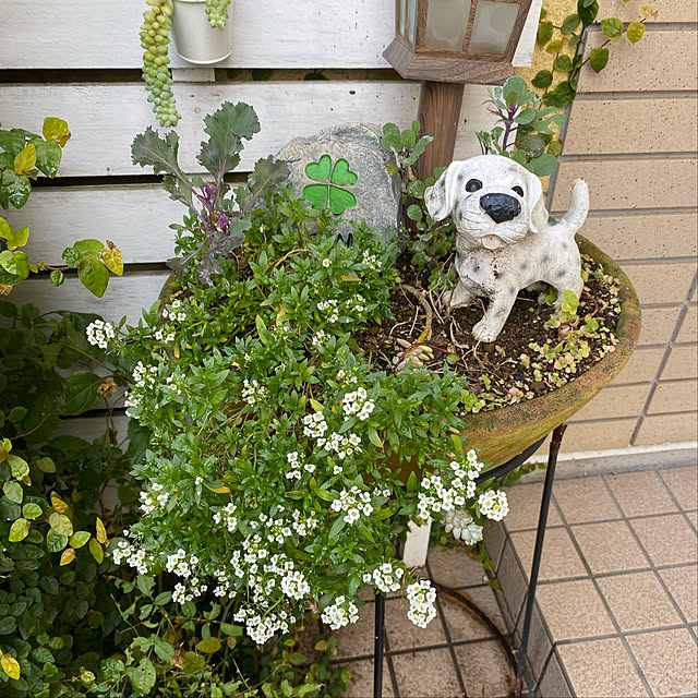 miya.ayaさんの実例写真