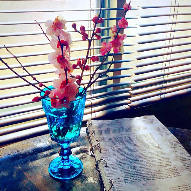 Ekaterinaさんの実例写真