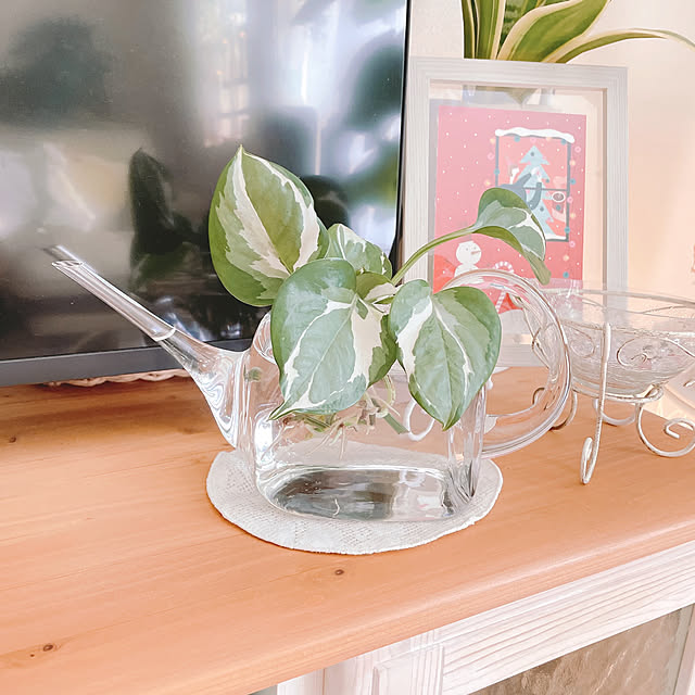 akiko-ovさんの実例写真