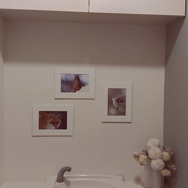 usagiさんの実例写真