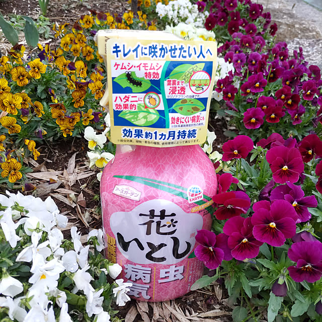 houenさんの実例写真