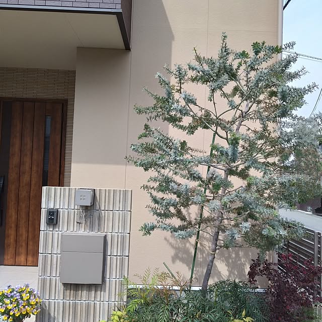 odecomaikoさんの実例写真