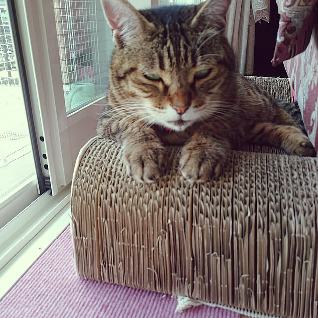 lilyさんの実例写真