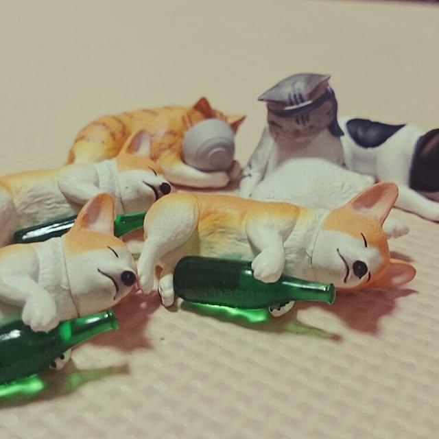 kiraさんの実例写真