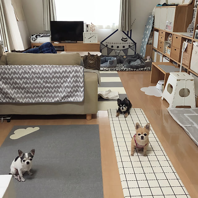 Emiさんの実例写真