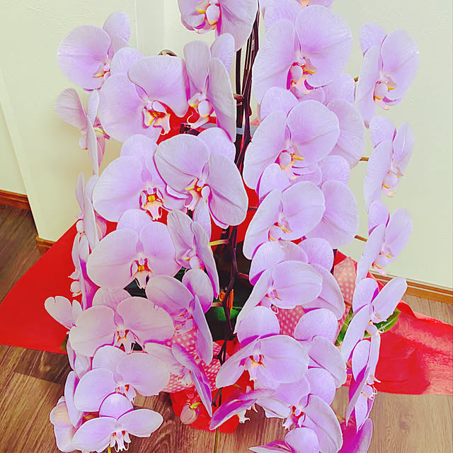 chukacham2418さんの実例写真