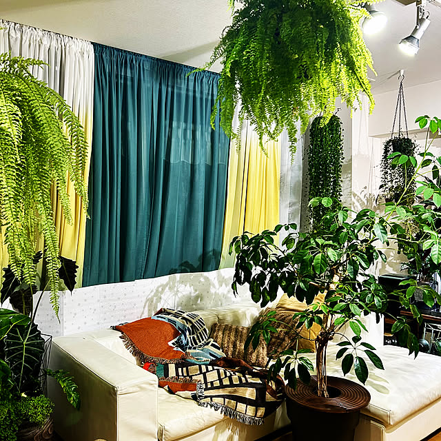 DAYONEさんの実例写真