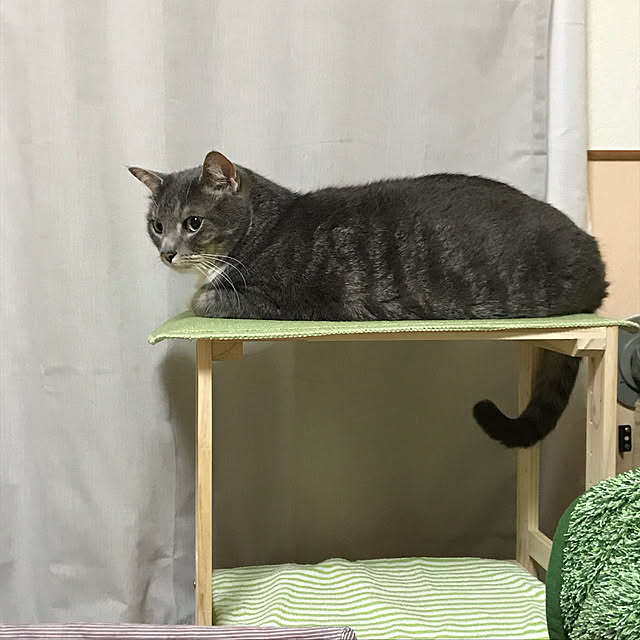 Machikoさんの実例写真