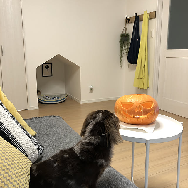 cocoaさんの実例写真