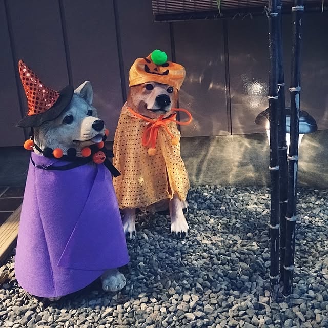 NOAHさんの部屋