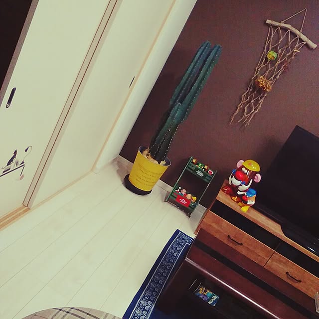 mk-hr-ki-sngさんの実例写真