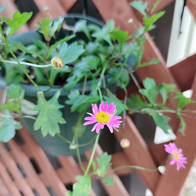 kiraさんの部屋