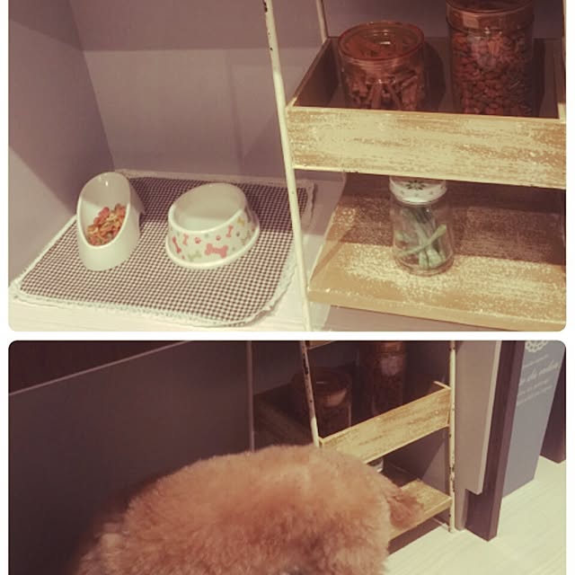 mam1231さんの実例写真