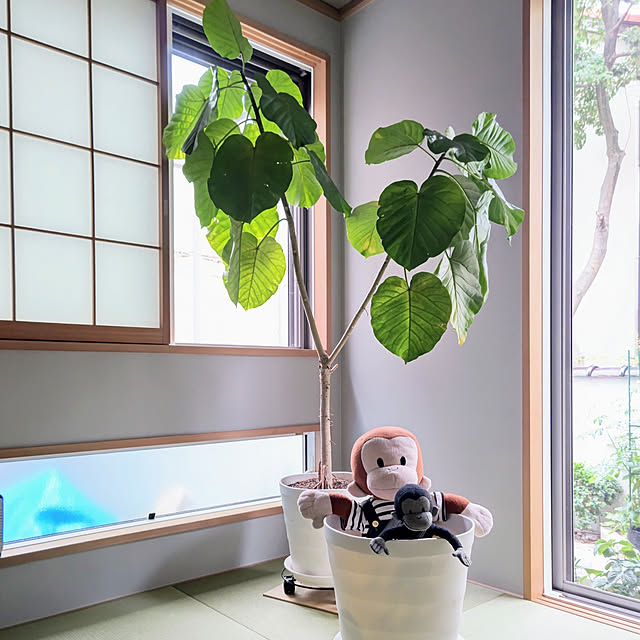 nyanpeiさんの実例写真