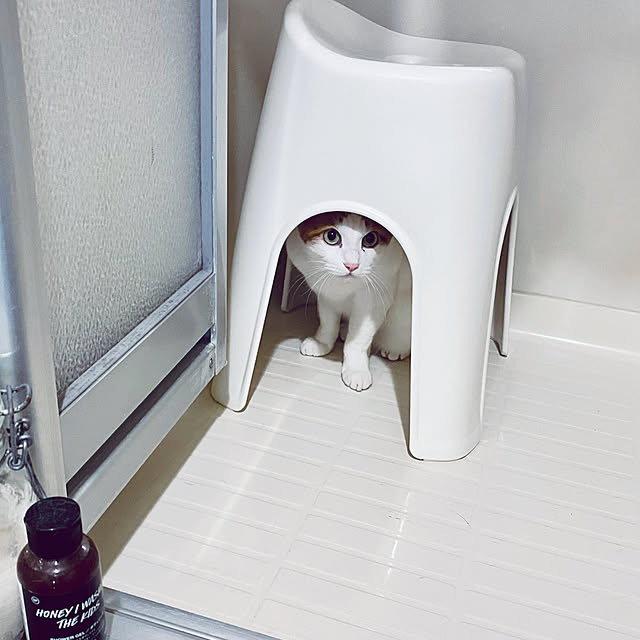 YUKAさんの実例写真