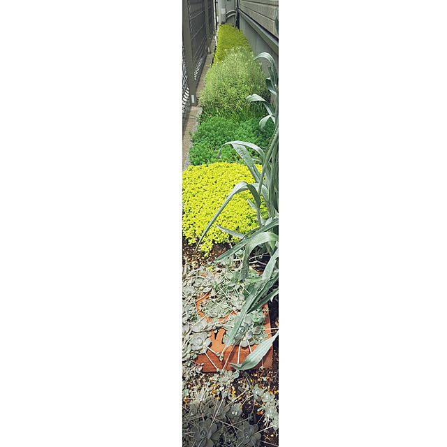 mmpoohさんの実例写真
