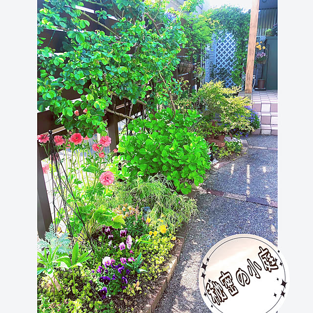 hinamamaさんの実例写真