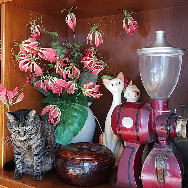 Mayumi8888さんの実例写真