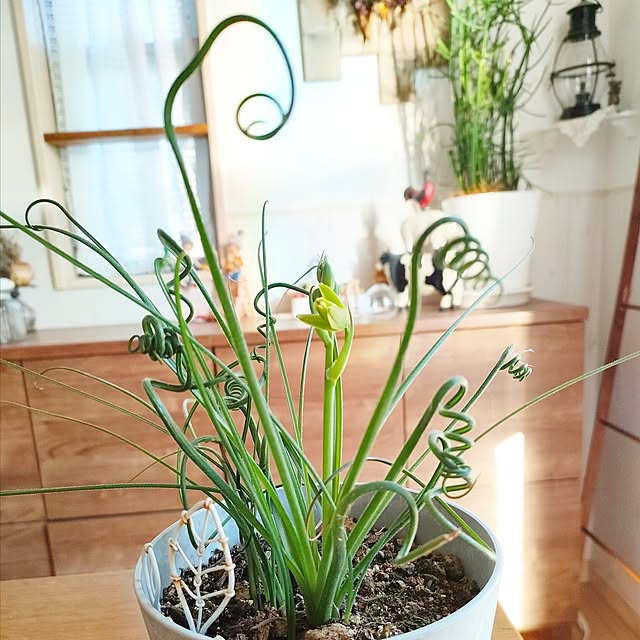 teamoさんの部屋