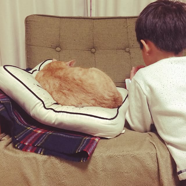 chiimalさんの実例写真