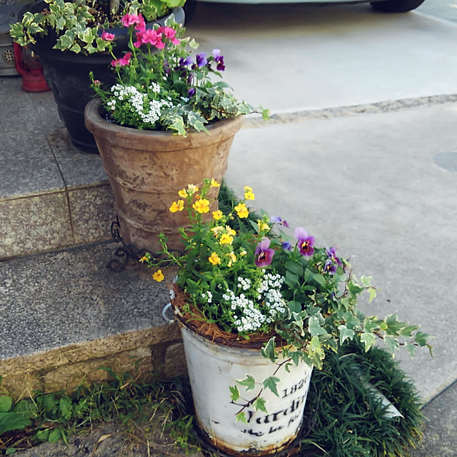 hana0423さんの実例写真