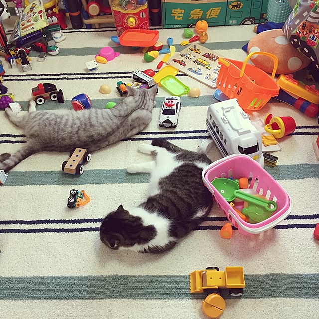 pocomaruさんの実例写真