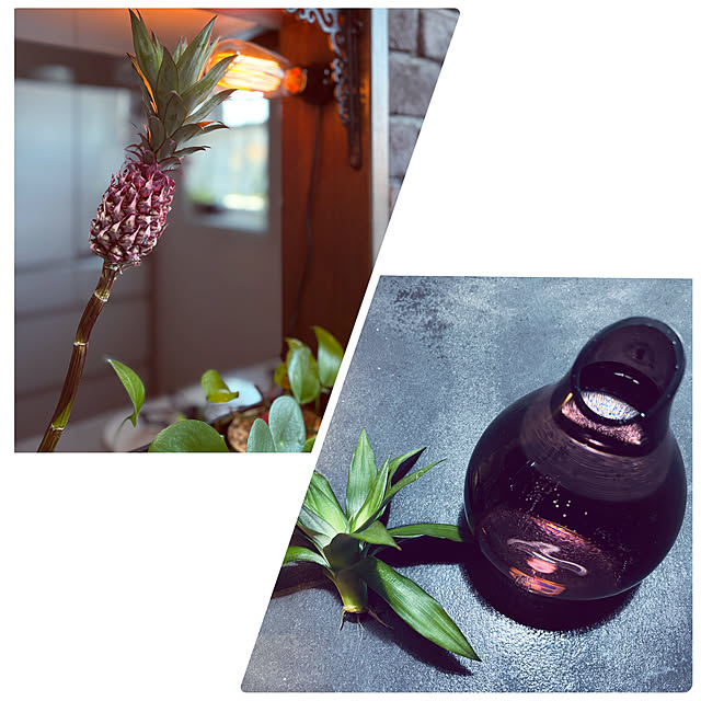 usagiさんの部屋