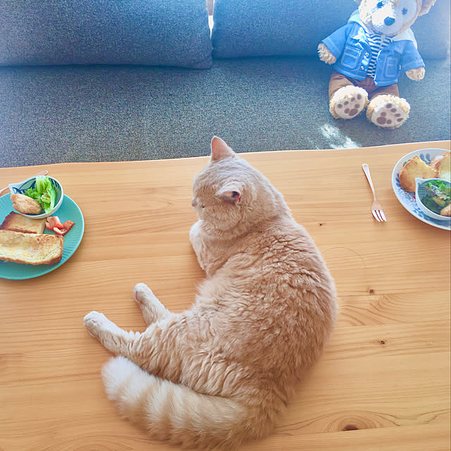 naokoさんの実例写真