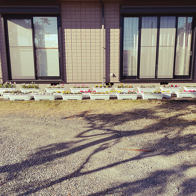 akkeyさんの実例写真