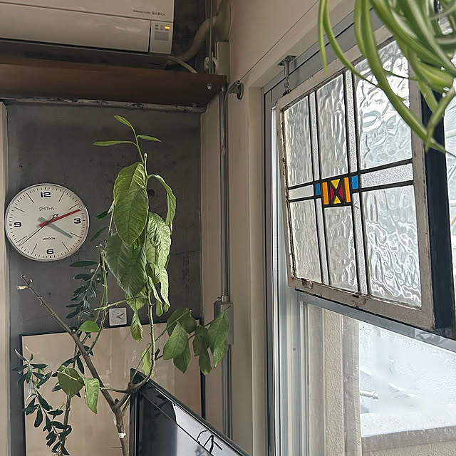 miri_bukkoさんの部屋