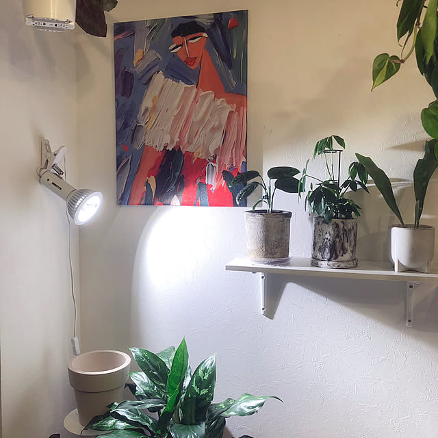 sashiさんの部屋