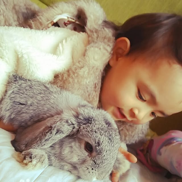 mogu0418さんの実例写真