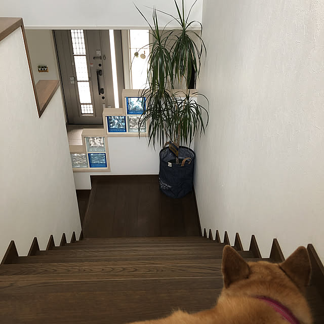 a-iさんの実例写真