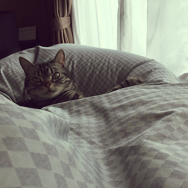 richanさんの実例写真