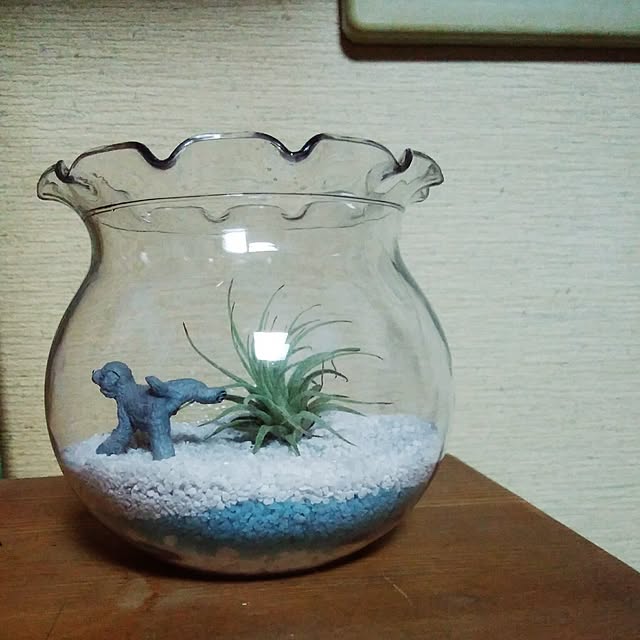terajunさんの実例写真