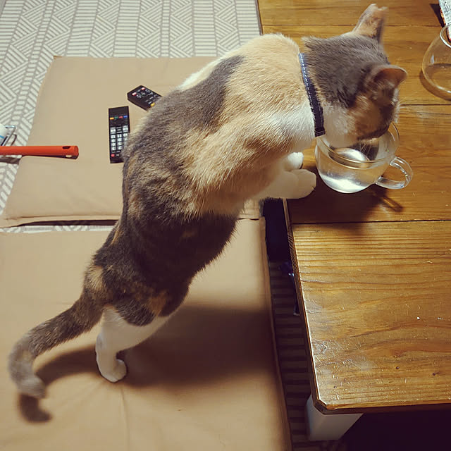 fukuさんの実例写真