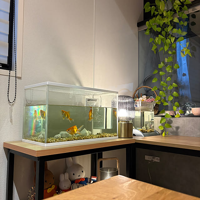 miffy.0044さんの実例写真