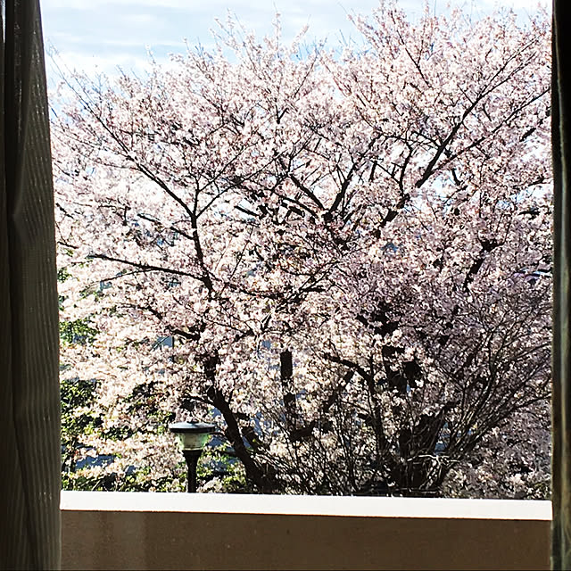 yuzuさんの実例写真