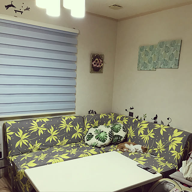 Toyomiさんの実例写真