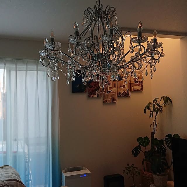 whitehouseさんの部屋