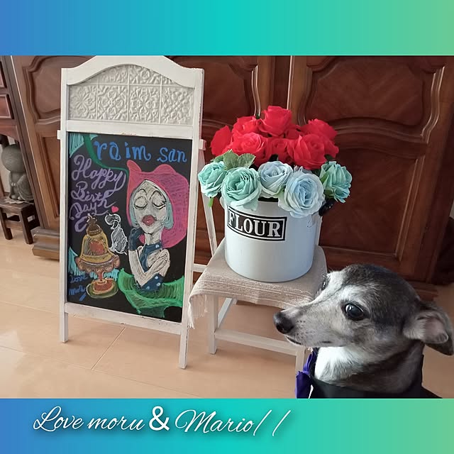moruさんの部屋