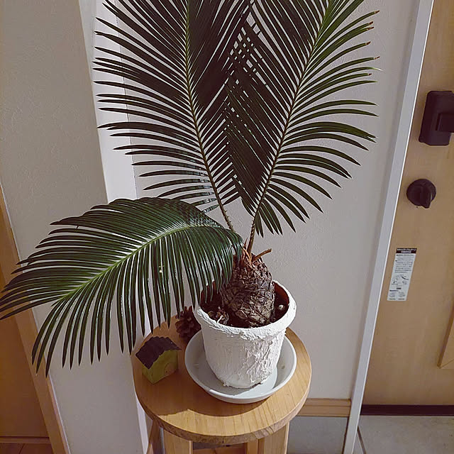 heyasukiさんの実例写真